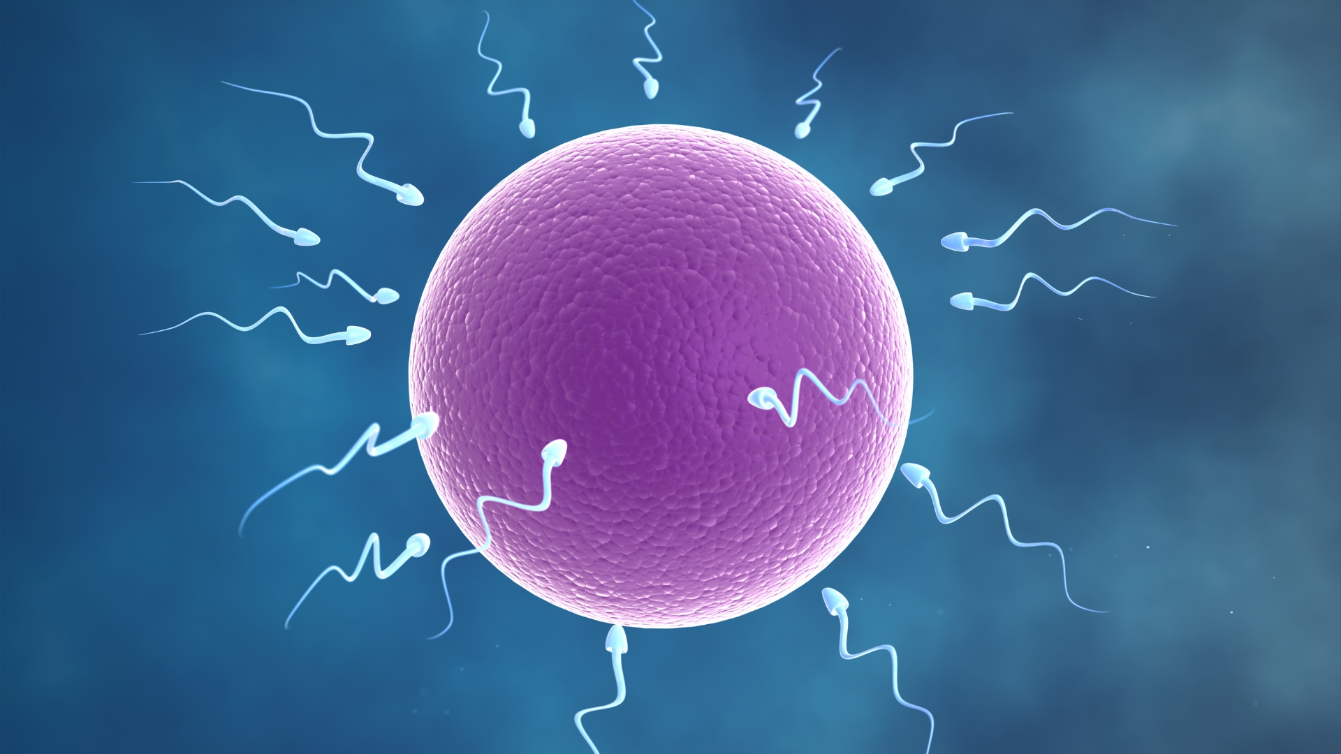 IUI with Donor Sperm