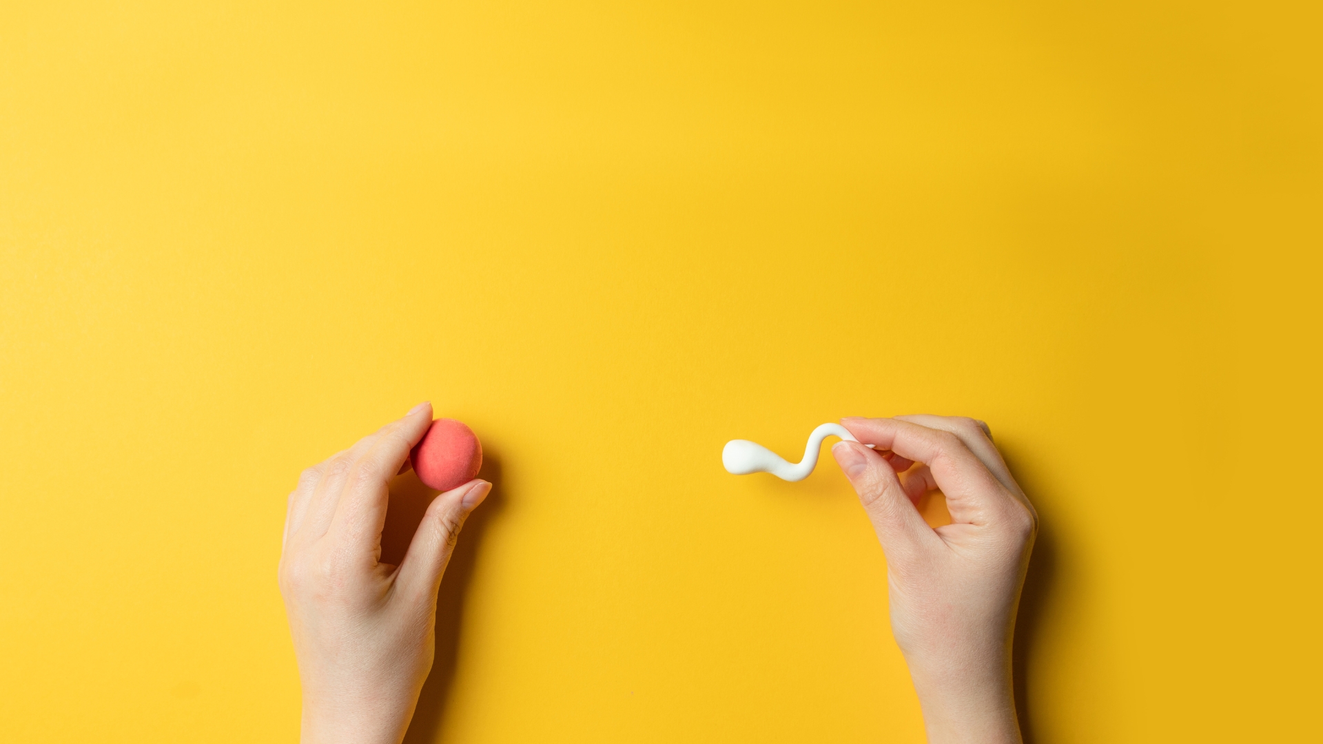 IVF with Donor Egg